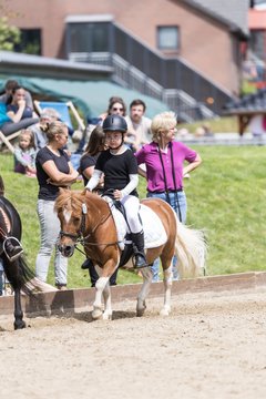 Bild 99 - Pony Akademie Turnier